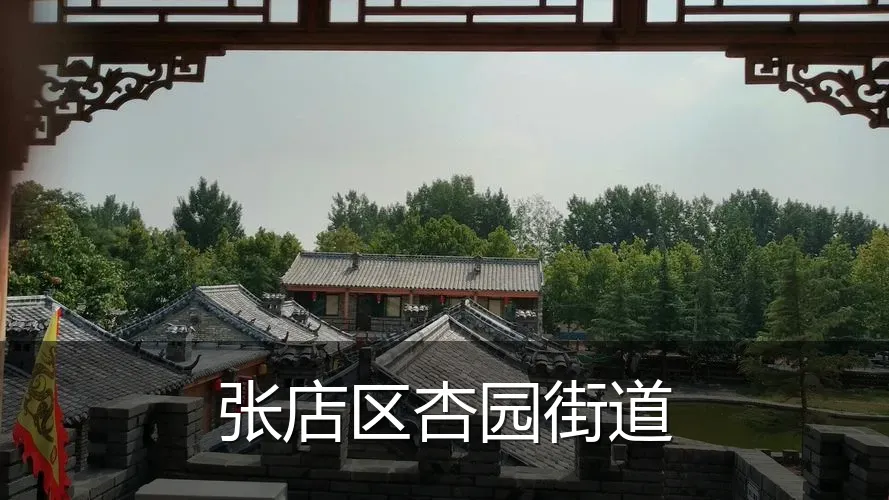张店区杏园街道